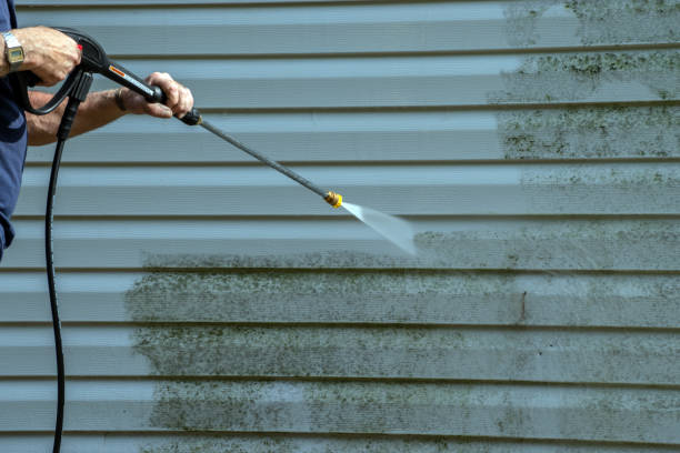 Best Sidewalk and Walkway Cleaning  in Lytle, TX